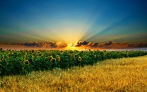 Подорожі рідним краєм